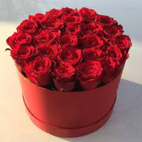رضا دژانگاه فلک