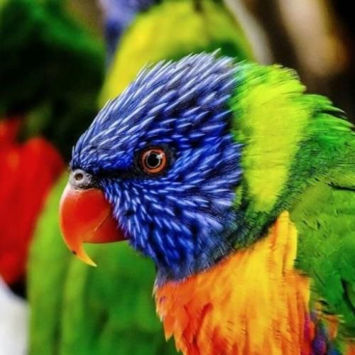 دیجی بیک خوبی مامانم