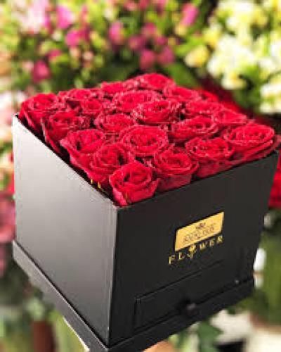 حسن حمیدی قلیان