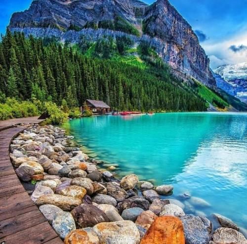 نمیتونم نمیتونم