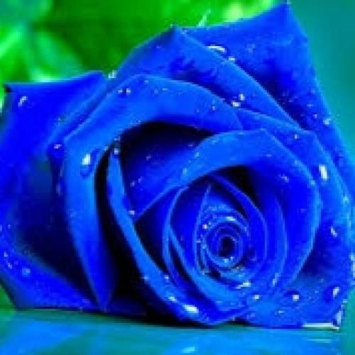 ساجده عبید موال واغنية البوشيه