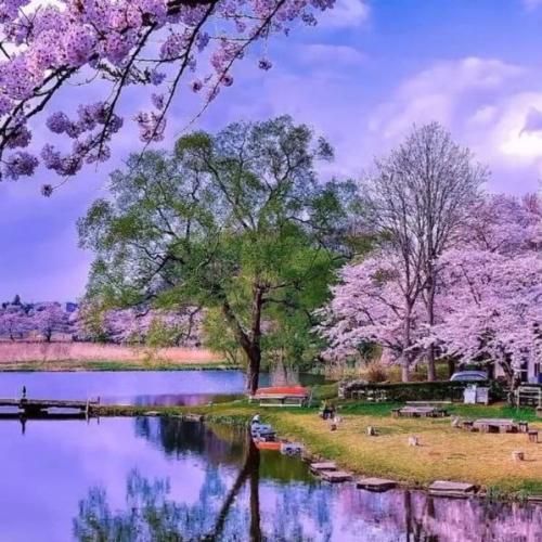 داغی شدی رو دلم