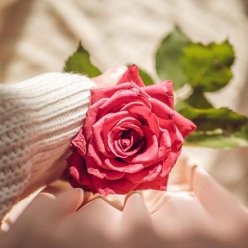 میریام فارس انا و الشوق