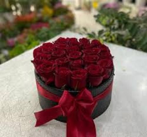 آرمان جهانی شاهکار