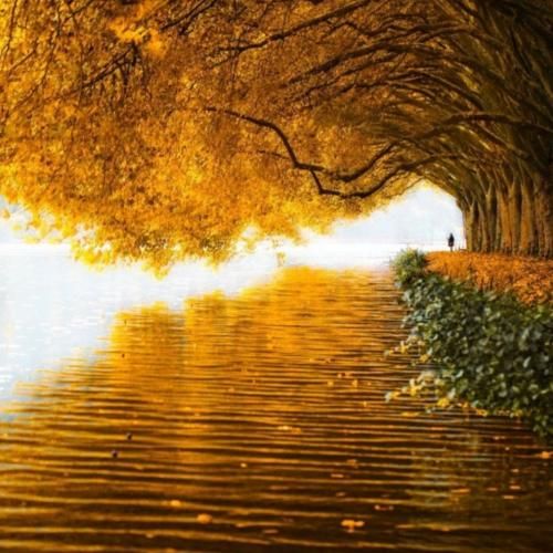 ساجده عبید فرق بين الاريده