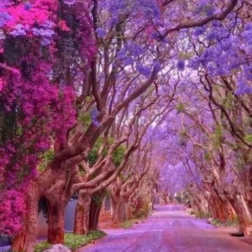 آهنگ جدید نمیدونم کدوم نقاب از این کابوس میده منو نجات