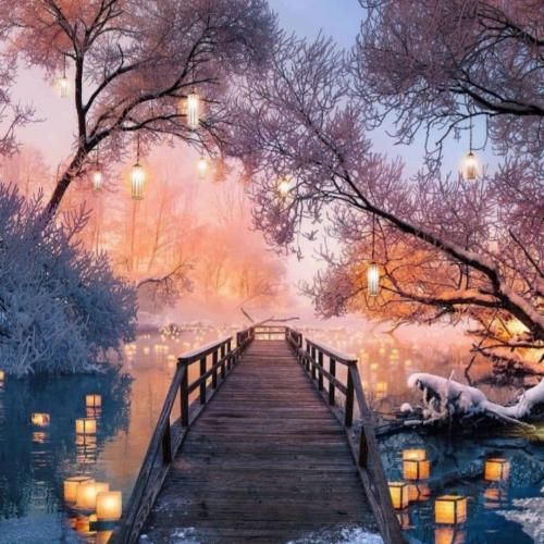 ساجده عبید عمي يبياع الورد