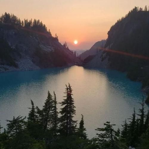 علی برزنونی داداشی