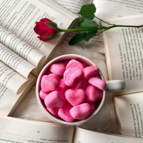 ام کلثوم علی بلد المحبوب