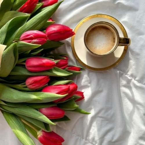 ساجده عبید التفاحه