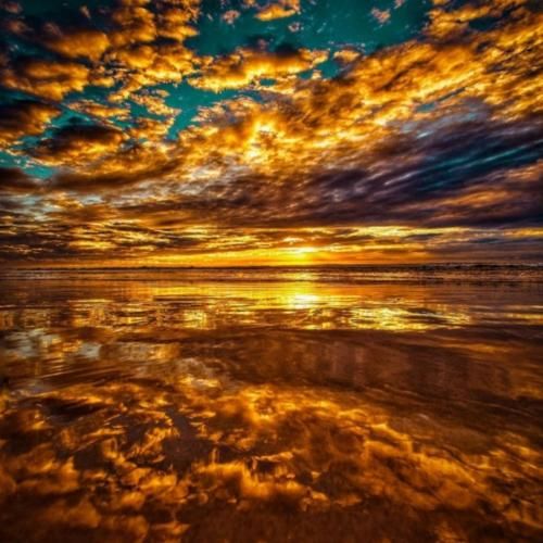 ساجده عبید منى العبدالله