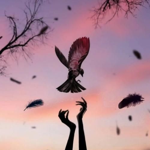 ساجده عبید مرينا بيكم