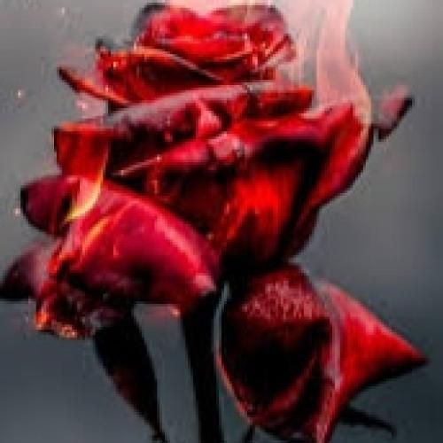 سمیره سعید آه بحبك