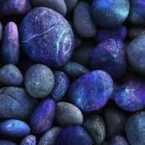 بلقیس فتحی حبیب حبي