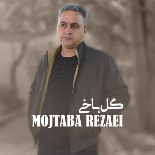 مجتبی رضایی گل باخی
