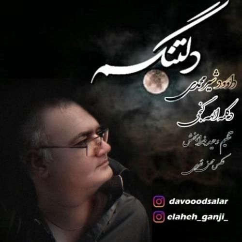 داوود شیر محمدی دلتنگم