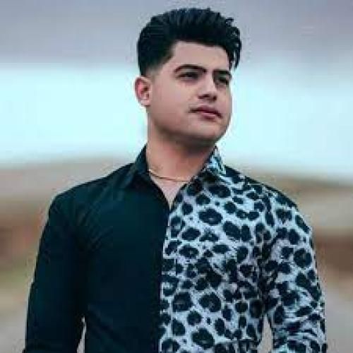 امیرحافظ رنجبر و آرمین برمایه بینی منو تو