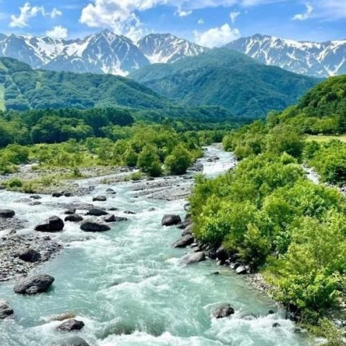 آستاره بختیاری تِی تَرس