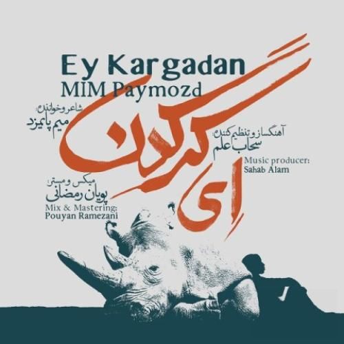 میم پایمزد ای کرگدن