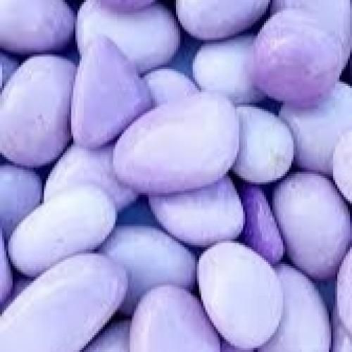 ساجده عبید راح ونساني