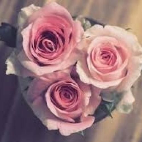 ساجده عبید منعوه هله