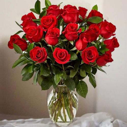 سزن آکسو بیلیورسون