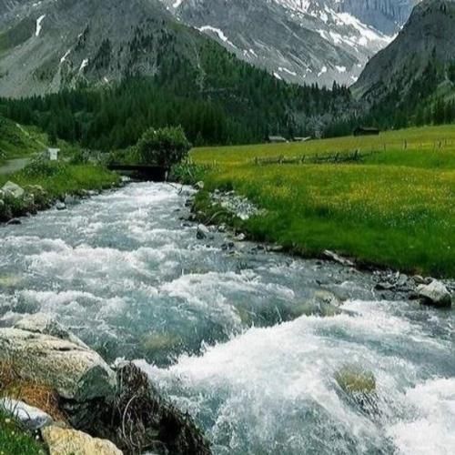 ژینا سقزی ای دل