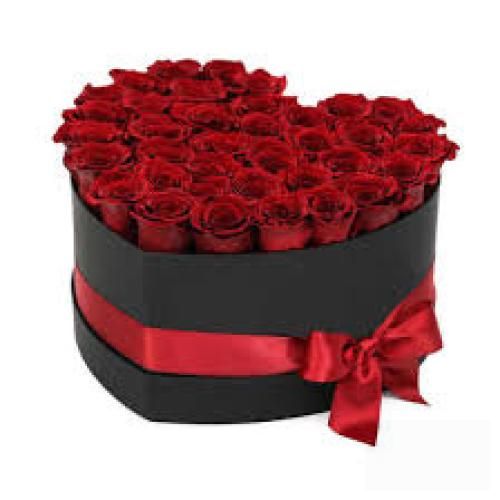 علی محمدی این بغض تیکه پاره امونمو بریده