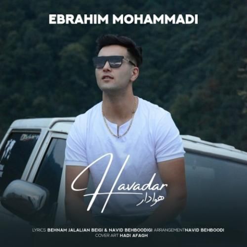 ابراهیم محمدی هوادار