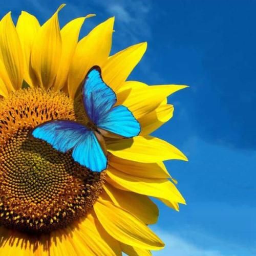 قاسم بهاری با رفیق جون جونیم قرار گذاشتی رفتی