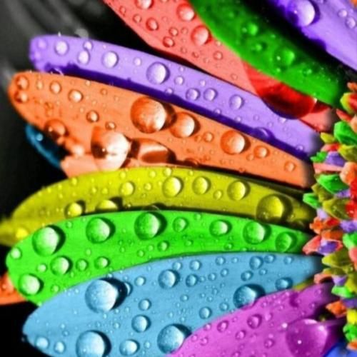 ژینا نصیری کولوانا سور
