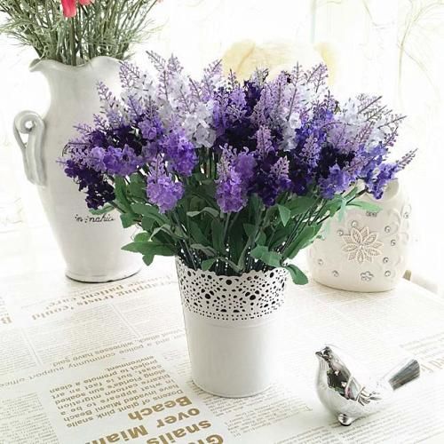 شدیم خر تر از خرای قبرس