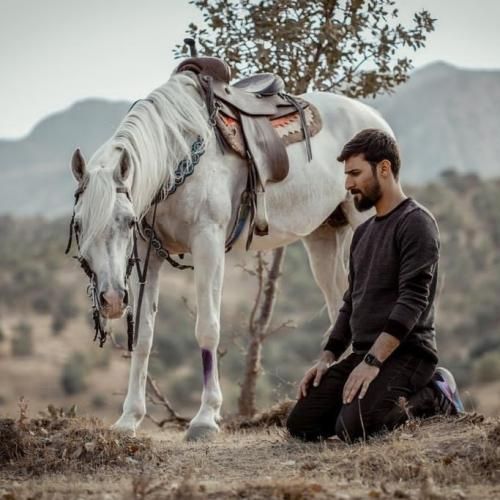 محمد الحلفی المفقود