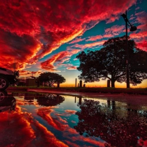 ساجده عبید جويت القلب