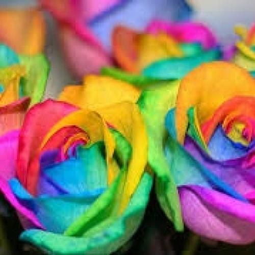 ساجده عبید موال مليت مسموعة