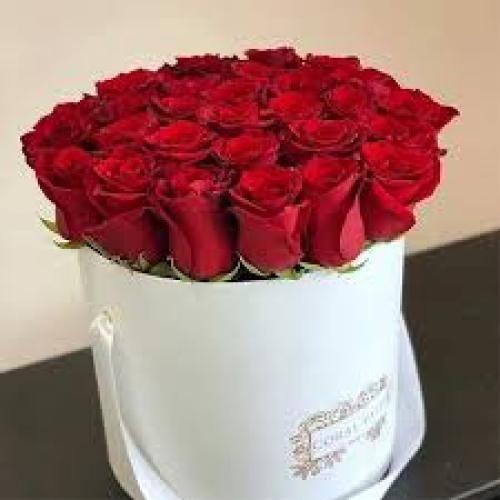 اشکان قیطاسی قلبم جور آگره پیکم پیک آخره