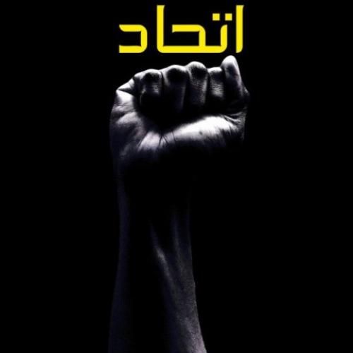 دی جی امیر ای زد اتحاد