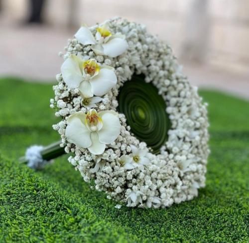 آزاده کبریا شور ماهی
