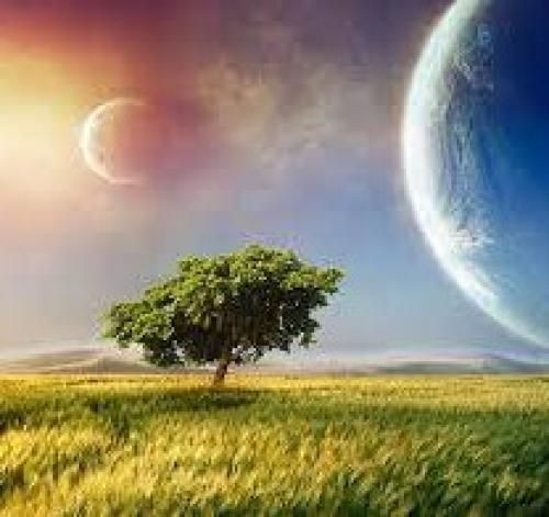 دمت آکالین نظر