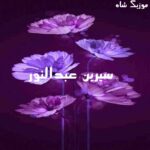 دانلود آهنگ جدید و قدیمی سیرین عبدالنور 2026