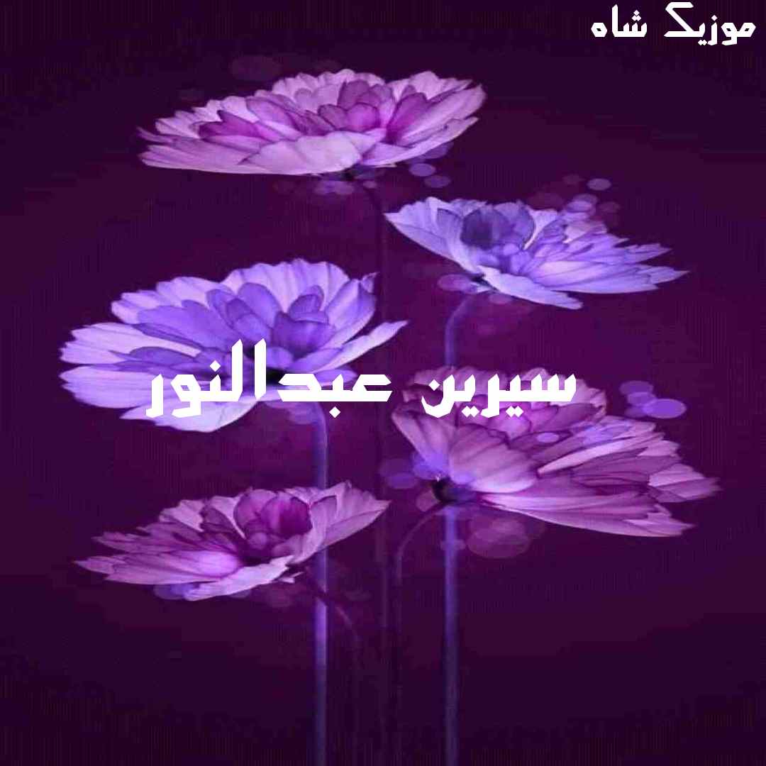 دانلود آهنگ جدید و قدیمی سیرین عبدالنور 2024