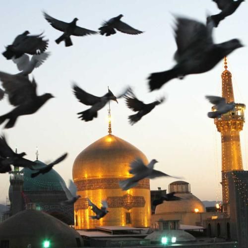 ایمان کیوانی خدا هر گناهی باشه به حسین می‌بخشه