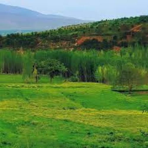 دمت آکالین کولتوک
