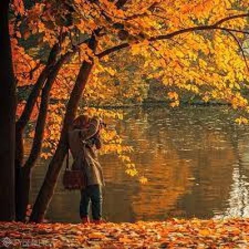 دمت آکالین تجربه
