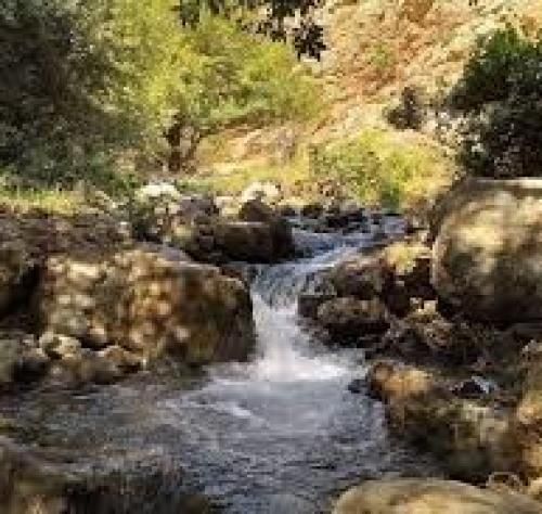 دمت آکالین ادام گیبی