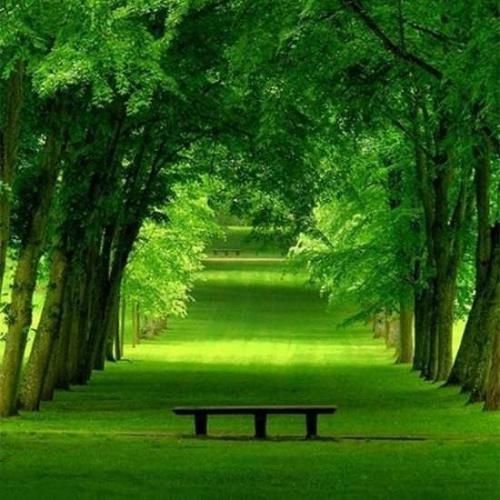  دخت بندر تی ام بکس با صدای مهراد هیدن هوش مصنوعی