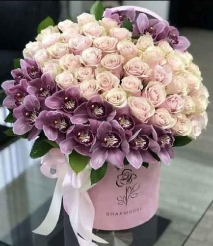 پوریا سازنده با من چرا