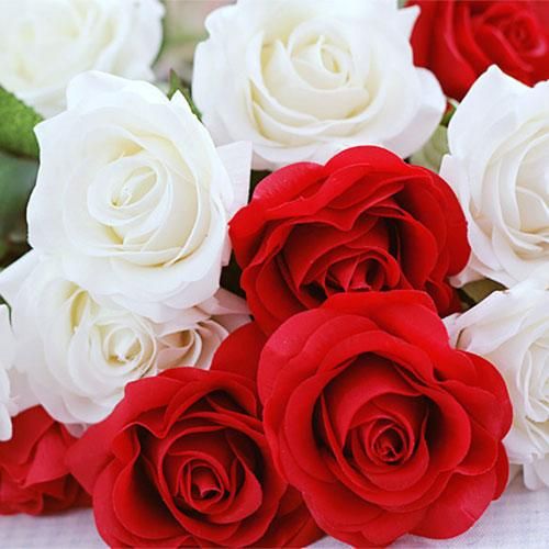 میثم حسینی دخترم