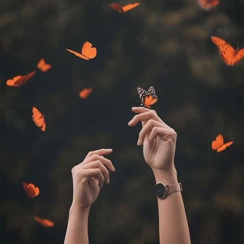 مهدی معصومی مادر