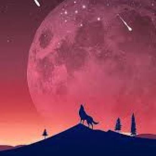 ابوالفضل رحیمی دنیا دنیا